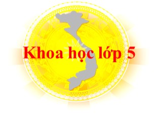 Bài giảng Khoa học Lớp 5 - Tuần 9: Phòng tránh bị xâm hại