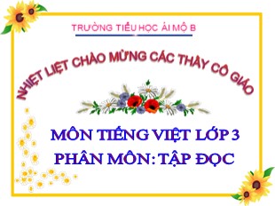 Bài giảng Tập đọc Lớp 3 - Tuần 4: Ông ngoại - Trường Tiểu học Ái Mộ B