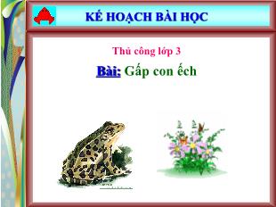 Bài giảng Thủ công Lớp 3 - Bài: Gấp con ếch