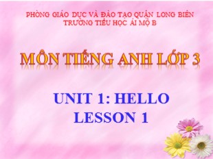 Bài giảng Tiếng Anh Lớp 3 - Unit 1: Hello - Lesson 1 - Trường TH Ái Mộ B