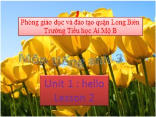 Bài giảng Tiếng Anh Lớp 3 - Unit 1: Hello - Lesson 2 - Trường TH Ái Mộ B