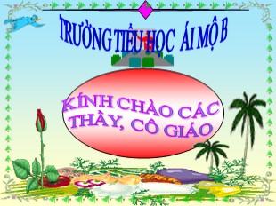 Bài giảng Tiếng Việt 5 - Tuần 17: Trả bài văn tả người - Trường Tiểu học Ái Mộ B