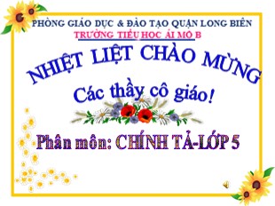 Bài giảng Tiếng Việt 5 - Tuần 24: Chính tả Núi non hùng vĩ - Trường Tiểu học Ái Mộ B