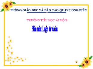 Bài giảng Tiếng Việt 5 - Tuần 5: Luyện từ và câu Từ đồng âm - Trường TH Ái Mộ B