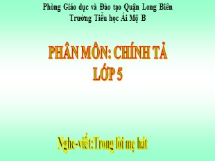 Bài giảng Tiếng Việt Lớp 5 - Tuần 32: Chính tả Trong lời mẹ hát - Trường TH Ái Mộ B