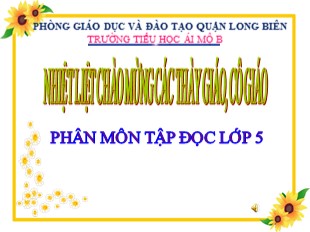 Bài giảng Tiếng Việt Lớp 5 - Tuần 32: Tập đọc Luật Bảo vệ, chăm sóc và giáo dục trẻ em - Trường TH Ái Mộ B