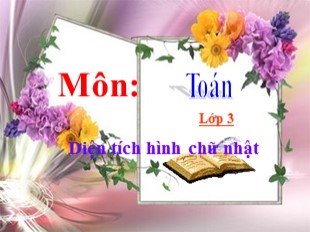 Bài giảng Toán 3 - Tuần 29: Diện tích hình chữ nhật