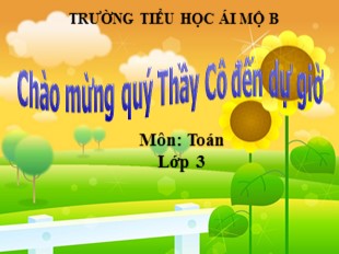 Bài giảng Toán Lớp 3 - Tuần 8: Luyện tập - Trường TH Ái Mộ B