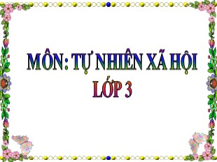 Bài giảng Tự nhiên và xã hội 3 - Tuần 2: Vệ sinh hô hấp