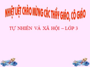 Bài giảng Tự nhiên và xã hội Lớp 3 - Bài 40: Thực vật