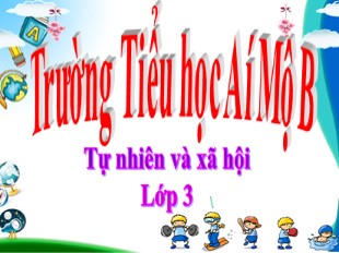 Bài giảng Tự nhiên và xã hội Lớp 3 - Bài 6: Máu và cơ quan tuần hoàn - Trường Tiểu học Ái Mộ B