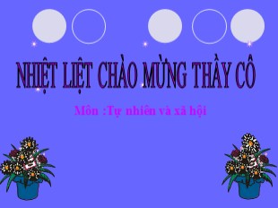 Bài giảng Tự nhiên và xã hội Lớp 3 - Tuần 10: Họ nội, họ ngoại