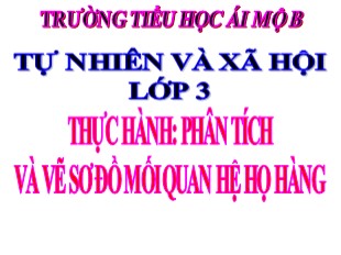 Bài giảng Tự nhiên và xã hội Lớp 3 - Tuần 11: Thực hành Phân tích và vẽ sơ đồ mối quan hệ họ hàng - Trường Tiểu học Ái Mộ B