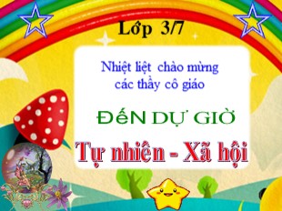 Bài giảng Tự nhiên và xã hội Lớp 3 - Tuần 14: Tỉnh thành phố nơi bạn đang sống