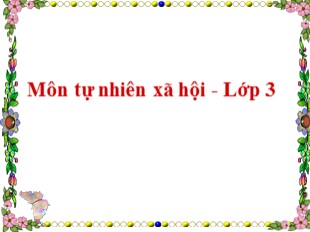 Bài giảng Tự nhiên và xã hội Lớp 3 - Tuần 15: Các hoạt động thông tin liên lạc