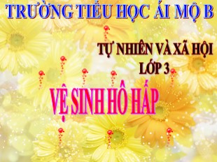 Bài giảng Tự nhiên và xã hội Lớp 3 - Tuần 2: Vệ sinh hô hấp - Trường TH Ái Mộ B