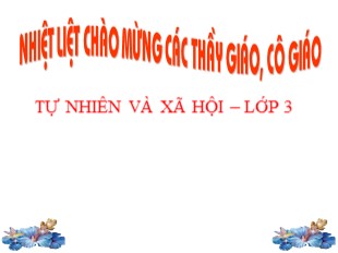 Bài giảng Tự nhiên và xã hội Lớp 3 - Tuần 20: Ôn tập xã hội