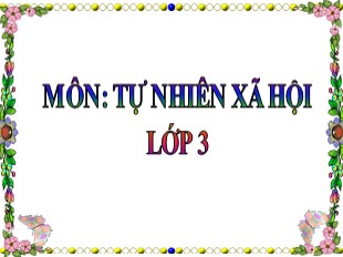 Bài giảng Tự nhiên và xã hội Lớp 3 - Tuần 27: Thú (Tiết 1)