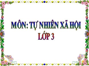 Bài giảng Tự nhiên và xã hội Lớp 3 - Tuần 31: Mặt trăng là vệ tinh của trái đất