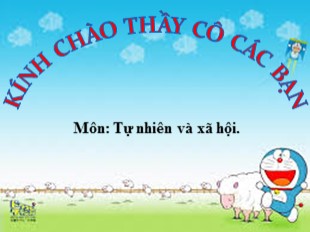 Bài giảng Tự nhiên và xã hội Lớp 3 - Tuần 5: Hoạt động bài tiết nước tiểu