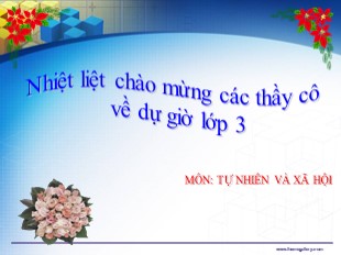 Bài giảng Tự nhiên và xã hội Lớp 3 - Tuần 8: Vệ sinh hệ thần kinh