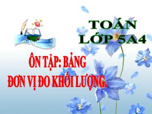 Bài giảng Toán 5 - Tuần 5: Ôn tập Bảng đơn vị đo khối lượng