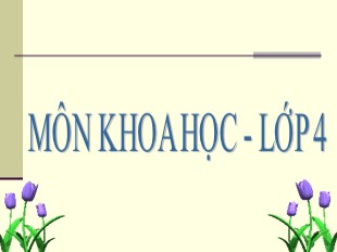 Bài giảng Khoa học 4 - Bài: Không khí bị ô nhiễm