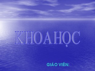 Bài giảng Khoa học Lớp 4 - Bài: Nhiệt cần cho sự sống