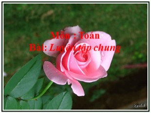 Bài giảng Toán Khối 3 - Tuần 32: Luyện tập chung