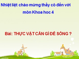 Bài giảng Khoa học 4 - Bài: Thực vật cần gì để sống ?