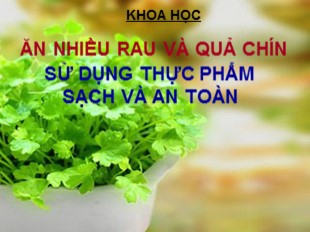 Bài giảng Khoa học Lớp 4 - Tiết 10: Ăn nhiều rau và quả chín. Sử dụng thực phẩm sạch và an toàn - Lưu Thị Son