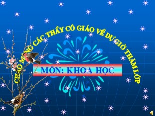 Bài giảng Khoa học Lớp 4 - Tiết 16: Ăn uống khi bị bệnh