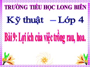 Bài giảng Kỹ thuật Lớp 4 - Bài 9: Lợi ích của việc trồng rau, hoa - Trường TH Long Biên