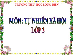 Bài giảng Tự nhiên và xã hội 3 - Tuần 28: Mặt trời - Trường TH Long Biên