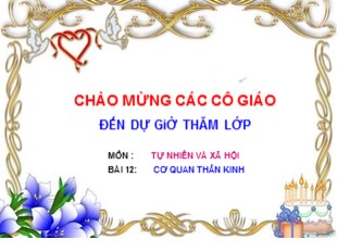 Bài giảng Tự nhiên và xã hội 5 - Bài 12: Cơ quan thần kinh