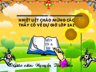 Bài giảng Tự nhiên và Xã hội Lớp 2 - Bài 6: Tiêu hóa thức ăn - Nguyễn Thị Thảo