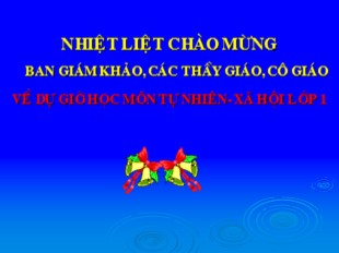 Bài giảng Tự nhiên xã hội 1 - Bài: Cây hoa