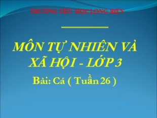 Bài giảng Tự nhiên xã hội 3 - Tuần 26: Cá - Trường TH Long Biên