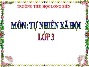 Bài giảng Tự nhiên xã hội 3 - Tuần 27: Chim - Trường TH Long Biên