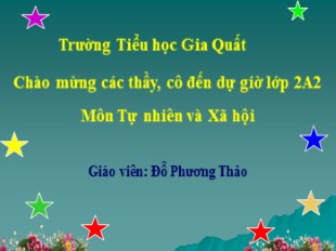 Bài giảng Tự nhiên xã hội Lớp 2 - Bài: Cơ qua quan tiêu hóa - Đỗ Phương Thảo