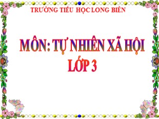 Bài giảng Tự nhiên xã hội Lớp 3 - Tuần 4: Vệ sinh cơ quan tuần hoàn - Trường TH Long Biên