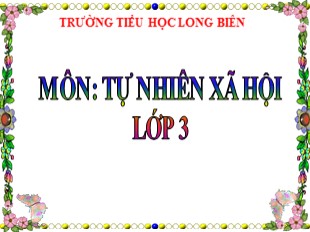 Bài giảng Tự nhiên xã hội Lớp 3 - Tuần 6: Vệ sinh cơ quan bài tiết nước tiểu - Trường TH Long Biên