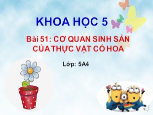 Bài giảng Khoa học 5 - Bài 51: Cơ quan sinh sản của thực vật có hoa (Mới)