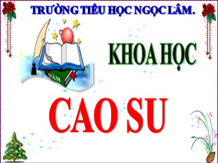 Bài giảng Khoa học Lớp 5 - Bài 30: Cao su - Năm học 2019-2020 - Trường Tiểu học Ngọc Lâm