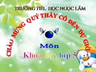 Bài giảng Khoa học Lớp 5 - Bài 48: An toàn và tránh lãng phí khi sử dụng điện - Trường TH Ngọc Lâm