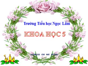 Bài giảng Khoa học Lớp 5 - Bài 55: Sự sinh sản của động vật - Trường Tiểu học Ngọc Lâm