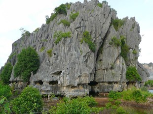 Bài giảng Khoa học Lớp 5 - Tuần 13: Đá vôi (Mới)