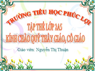 Bài giảng Luyện từ và câu 2 - Bài: Từ chỉ hoạt động, trạng thái - Nguyễn Thị Thuận