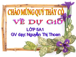 Bài giảng Toán Lớp 5 - Bài: Luyện tập chung trang 43 - Nguyễn Thị Thoan