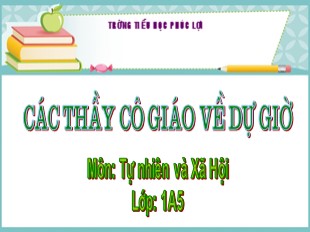 Bài giảng Tự nhiên và Xã hội 1 - Bài: Hoạt động và nghỉ ngơi - Trường TH Phúc Lợi